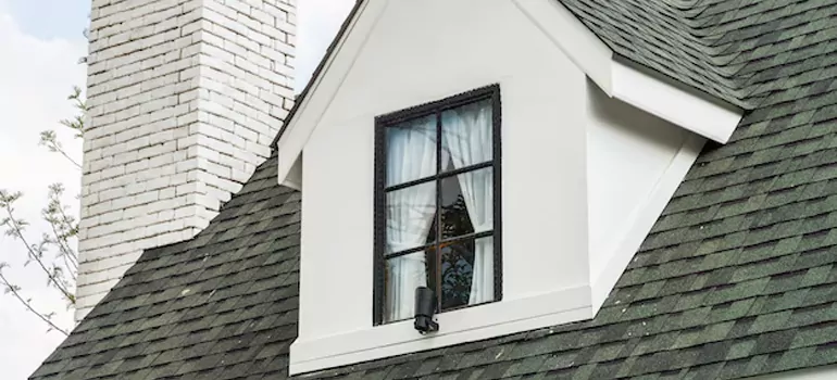 Roof Window Repair in Safety Harbor, FL