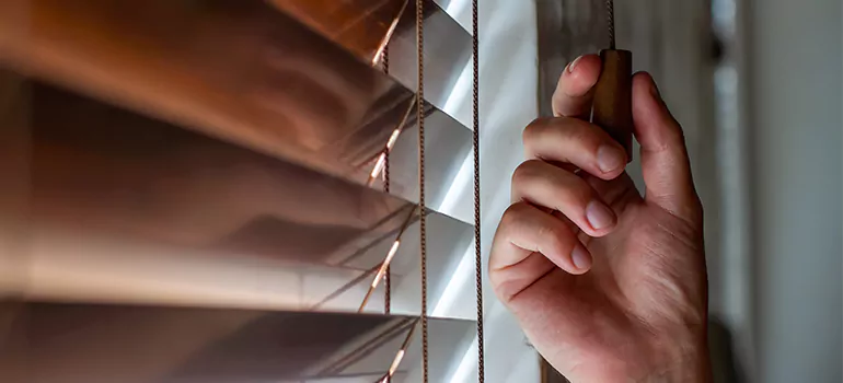 Double Roller Blinds in Safety Harbor, FL