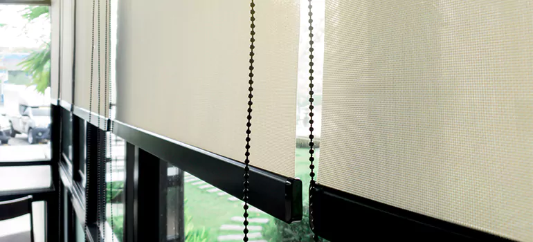 Blackout Window Shades in Safety Harbor, FL