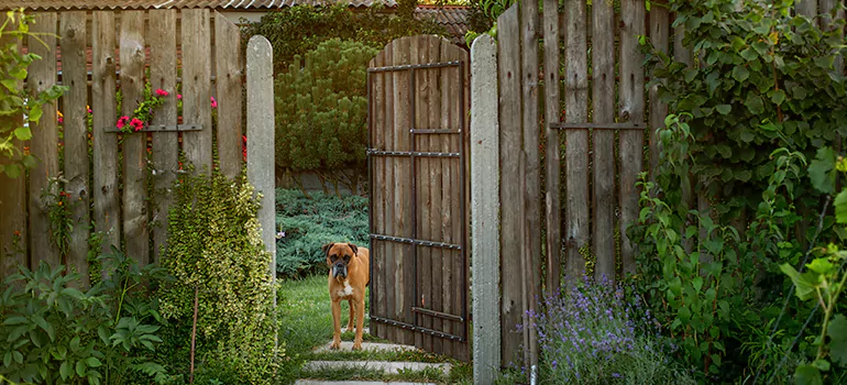 Winter Garden Garage Door Repair in Safety Harbor,[location field=state]