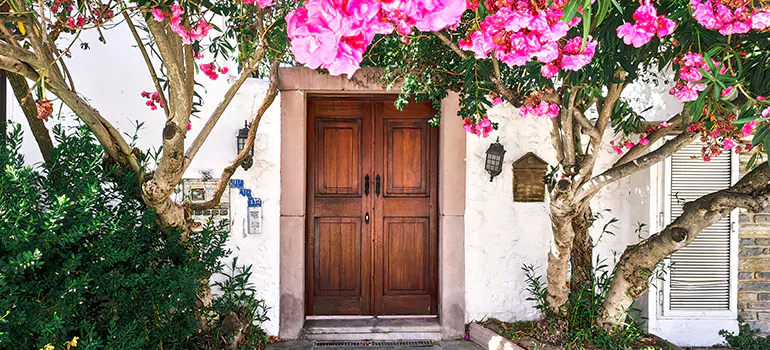 Traditional 4 Panel Internal Doors in Safety Harbor, FL