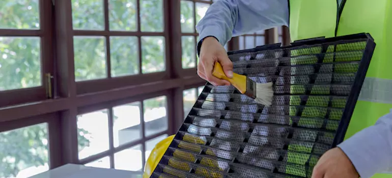 Traditional Window Grille Installation Options in Safety Harbor, FL