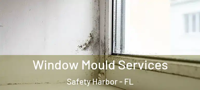 Window Mould Services Safety Harbor - FL